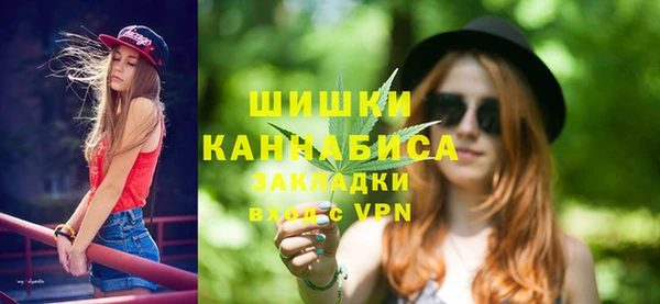 индика Шадринск
