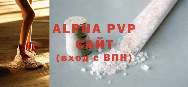 индика Шадринск