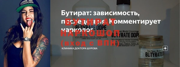 индика Шадринск