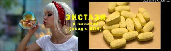 индика Шадринск