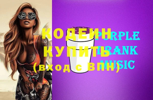 индика Шадринск