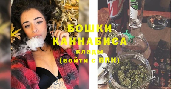 индика Шадринск