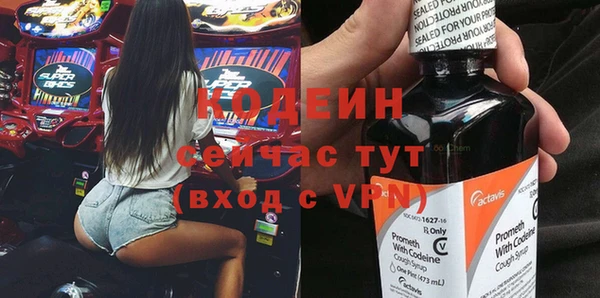 индика Шадринск