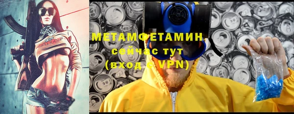 индика Шадринск