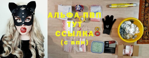 индика Шадринск