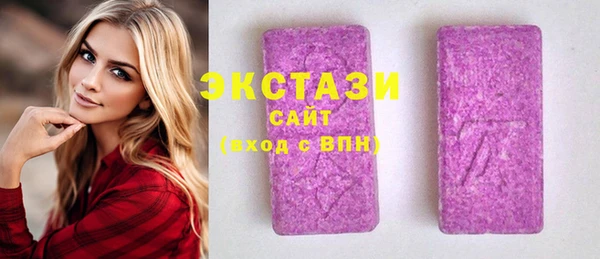 индика Шадринск