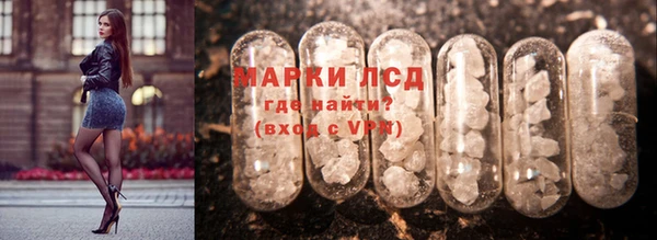 индика Шадринск