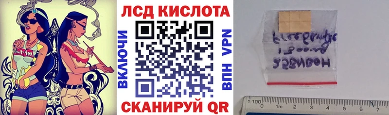 Наркотические марки 1,5мг  как найти наркотики  blacksprut tor  darknet телеграм  Евпатория 