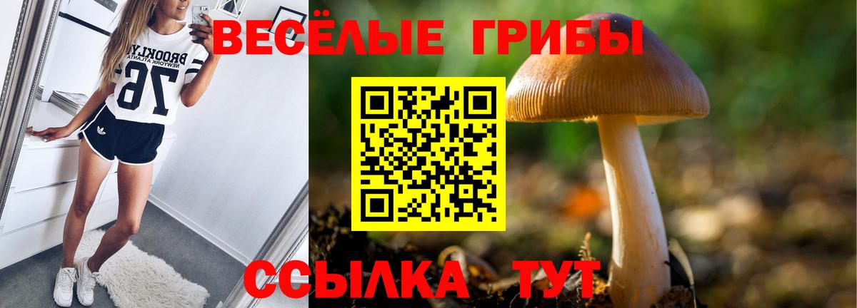 Псилоцибиновые грибы Psilocybine cubensis Евпатория
